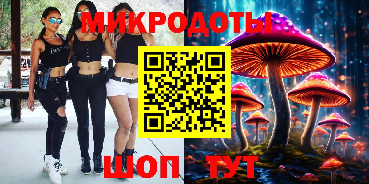 Ижевск  Псилоцибиновые грибы Psilocybe  Вход с VPN  Псилоцибиновые грибы Psilocybe 