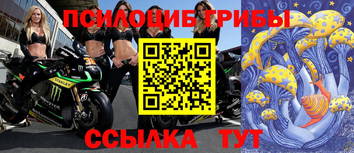 Галлюциногенные грибы мухоморы Ижевск